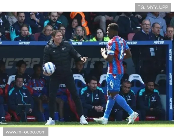 曼城后防大将格瓦迪奥尔与迪亚斯伤缺数周 曼城后防大将格瓦迪奥尔与迪亚斯伤缺数周